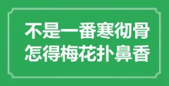 “不是一番寒徹骨，怎得梅花撲鼻香”是什么意思_出處是哪里