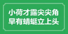 “小荷才露尖尖角，早有蜻蜓立上頭”是什么意思_出處是哪里